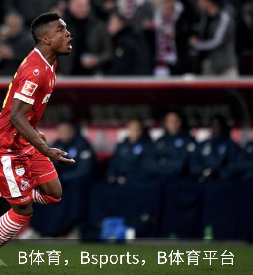 B体育，Bsports，B体育平台品牌故事